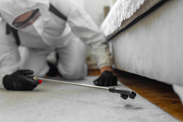 Professional Cockroach Control technician working in Renville County County, ND